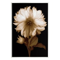 Stupell Moderna Sepia Mama Cvijet Botanička I Cvjetna Fotografija Zidna Ploča Neuramljena Umjetnost Print