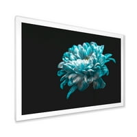 PromenArtict 'Close Up od bijelog i čistog plavog tratinčanog cvijeta II' tradicionalni uokvireni umjetnički otisak