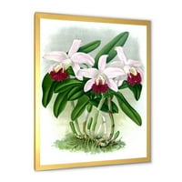 PROIZVODNJA Bijeli vintage orhiderni cvijet i tradicionalni uokvireni umjetnički otisak