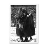 PRONAĐEDNIART PORTRET MONOHROMOM WILD bika u zimskoj šumi I 'Seoska kuća uokvirena umjetničkim otiskom