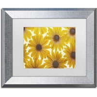Zaštitni znak likovne umjetnosti 'žuti rt daisies' platnena umjetnost cora niele, bijeli mat, srebrni okvir