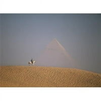 Posterazzi DPI1880618VELIKA žena Jahaći konj sa Velikom piramidom Čefrena iza štampe postera, - velika
