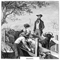 Teksas: Brendiranje Goveda 1874. Ncowboys Brendiranje Goveda U Teksasu Stoka Trgovine. Graviranje Drveta,