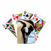 Ocean Antarktik pingvin nauka prirode Poker igrač igrača čarobne kartice