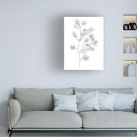 Emma Scarvey' Eucalyptus Sketch III ' platno Art