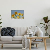 Suncokretovo Polje Čisto Nebo Botanička I Cvjetna Fotografija Neuramljena Umjetnost Print Wall Art