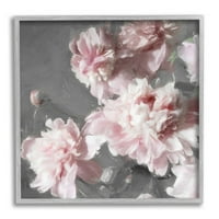 Ružičasti pupoljci Buds Cvjetanje botaničke i cvjetne grafike Umjetnost Siva uokvirena umjetnost Print