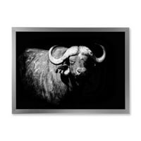 Designart 'crno-bijeli portret Buffala I' seoska kuća uokvirena umjetnička štampa
