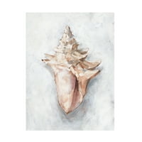 Ethan Harper 'White Shell Study I' Canvas Art