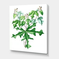 DETART Drevni crtež divljih biljaka tradicionalnog platna na zidnom umjetničkom tisku