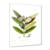 Designart' Ancient Blossoming Flower II ' tradicionalni uokvireni umjetnički Print