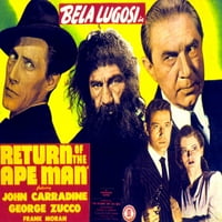 Povratak Čovjeka Majmuna John Carradine Frank Moran Bela Lugosi Tod Andrews Teala Loring Filmski Poster