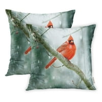 Crvene ptice kardinali u kasno proljetnoj snježnoj oluji Nashville Tennessee Cold jastuk kaferi jastuk