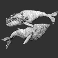 Par plesa kitova dječaka Drveni ugljen sivi grafički tee - Dizajn ljudi XS