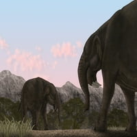 Dva Deinoterijuma, izumrla životinja iz miocenske epohe, u odnosu na štampu postera današnjih slonova