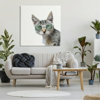 Stupell Fun Cat Sunčane naočale portretne životinje i insekti Palika Galerija zamotana platna Print Wall Art