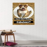 Avanti - Fabulous Frenchie zidni poster, 22.375 34