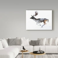 Židobrana likovna umjetnost 'Večernji Buck Fallow Deer' Platnena umjetnost Mark Adlington