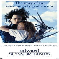 Edward Scissorhands - Nježni MAN zidni poster, 22.375 34