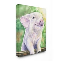 Stupell Industries Baby svinjski svinjski životinjski zeleni akvarel slikanje Super platnena Zidna umjetnost
