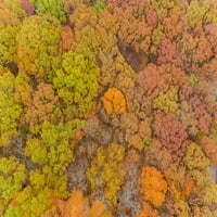 Pogled iz zraka na jesen u boji-okrug Marion-otisak postera Illinois-Richard i Susan Day
