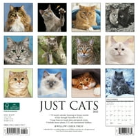 Willow Creek Press Samo Mačke Zidni Kalendar