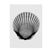 Zaštitni znak likovne umjetnosti 'scallop ray' platno umjetnost Bert Myers