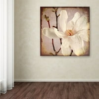 Zaštitni znak Likovna umjetnost 'papirna magnolija krupni plan' platnena umjetnost od LightBoxJournal