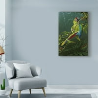 Zaštitni znak Fine Art 'Green Macaw' Canvas Art Michael Jackson