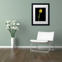 Zaštitni znak likovne umjetnosti 'Žuti tulipan crna pozadina 5' platno Art PIPA Fine Art, crni mat, crni okvir