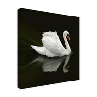 Ben Heine 'Swan 1' Platno Art
