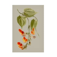 Vision Studio 'Botanical Array VI' Canvas Art