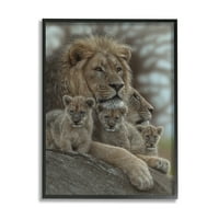 Stupell Industries King Lion Baby Cubs Wild Safari Obitelj životinja, 30, Dizajn od Collin Bogle