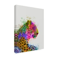Fab Funky 'Leopard Rainbow Splash 1' Canvas Art