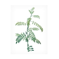 Vision Studio 'Soft Green Botanical III' Canvas Art