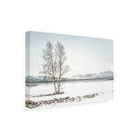 Philippe Sainte Laudy' Just Another Tree ' Canvas Art