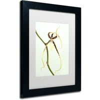 Zaštitni znak Likovna umjetnost Pauk orhideja Umjetnost platna Kurta Shaffera, bijeli mat, crni okvir
