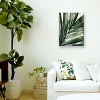 Remek-djelo Umjetnost Galerija Palm Frond Fond by Belle Maison Canvas Art Print 24 36