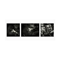 Geoffrey Ansel Agrons 'Under the Skin Triptych' Canvas Art