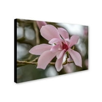 Zaštitni znak Likovna umjetnost magnolija umjetnost na platnu Pierre Leclerc