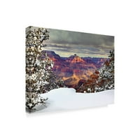 Zaštitni znak likovne umjetnosti' Snowy Grand Canyon I ' platnena Umjetnost Davida Drosta