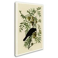 Zaštitni znak likovne umjetnosti' Američka Vrana ' platnena Umjetnost Johna Jamesa Audobona