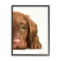 Stupell Industries Chocolate Labrador Puppy Resting preslatki pas portret crni okvir, 30, dizajn George