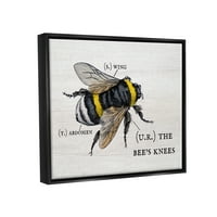 Stupell Industries anatomija medonosne pčelinje igre riječi šarmantna pčelinja koljena Jet Crni uokvireni