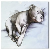 Wynwood Studio životinje zid Art platno grafike 'Sleeping Pitbull' psi i štenci - siva, plava