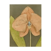 Zaštitni znak likovne umjetnosti' orhideja i Zemlja IV ' platnena Umjetnost Megan Meagher