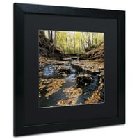 Zaštitni znak Likovna umjetnost Lakeview Autumn Falls Umjetnost platna Kurta Shaffera crni mat, crni okvir