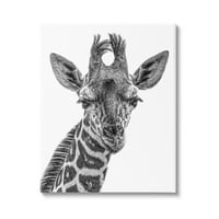 Stupell Industries žirafa gleda Divlje životinje portret Galerija fotografija umotano platno Print zid