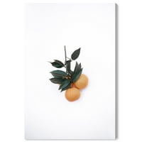Runway Avenue Food and Cuisine Canvas Art Print 'minimalistički narandžasti' voće - Bijelo, narandžasto