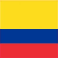 5in 3.25 u kolumbijskom magnetnom braniku Zastava automobila ili kamiona magnetni znak vrata